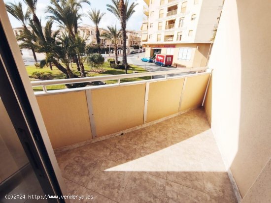 Apartamento en venta en Guardamar del Segura (Alicante)