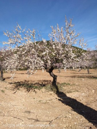 Casa en venta en Bullas (Murcia)