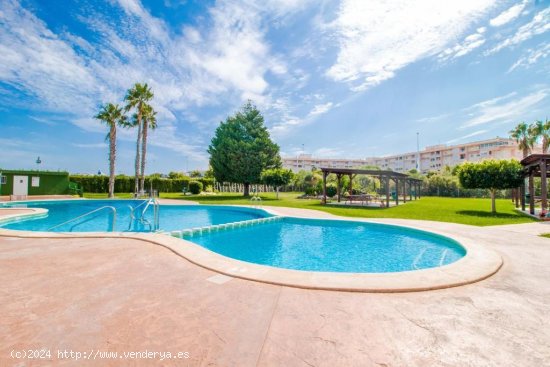  Bungalow en venta en Torrevieja (Alicante) 