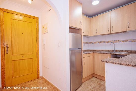 APARTAMENTO DE 2 DORMITORIOS 1 BAÑO EN TORREVIEJA (PLAYA DE LOS LOCOS ) - ALICANTE