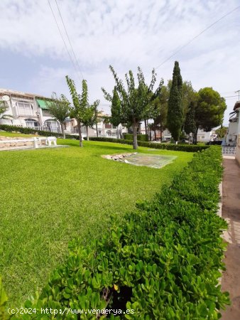 Bungalow en venta en Torrevieja (Alicante)