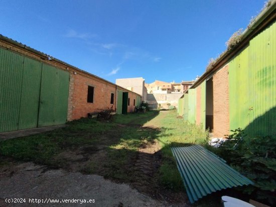 Parcela en venta en Cretas (Teruel)