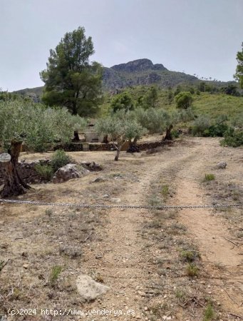 Finca en venta en El Perelló (Tarragona)