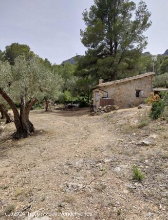 Finca en venta en El Perelló (Tarragona)