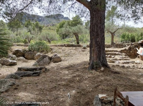 Finca en venta en El Perelló (Tarragona)