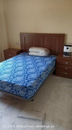 Apartamento en alquiler en Albolote (Granada)