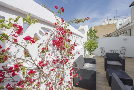 Apartamento en alquiler en Valencia (Valencia)