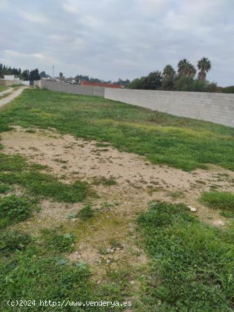  Parcela de más de 1000m2 segregada en El Marquesado - CADIZ 