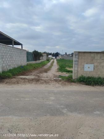 Parcela de más de 1000m2 segregada en El Marquesado - CADIZ