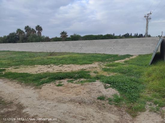 Parcela de más de 1000m2 segregada en El Marquesado - CADIZ