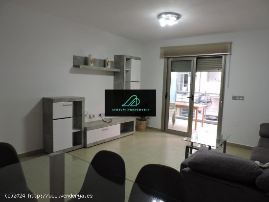  Apartamento en alquiler en Torrevieja (Alicante) 