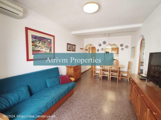  Apartamento en alquiler en Guardamar del Segura (Alicante) 