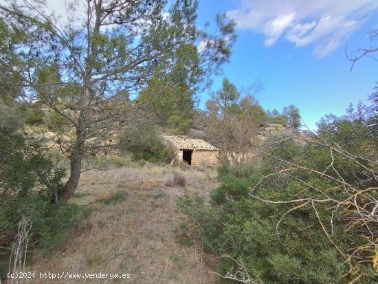 Finca en venta en La Fresneda (Teruel)