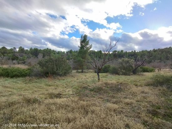 Finca en venta en La Fresneda (Teruel)