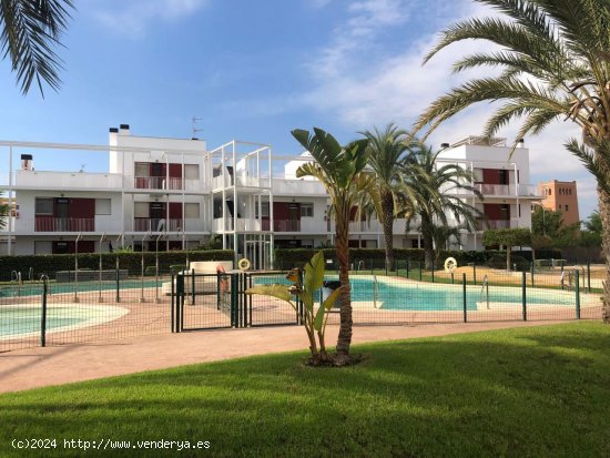 Apartamento en alquiler en Vera (Almería)