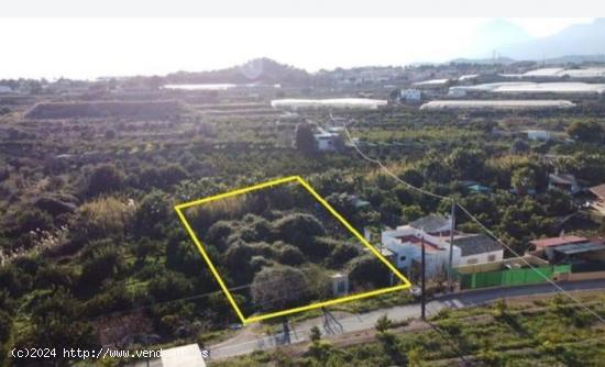  Se vende precioso terreno de naranjos - ALICANTE 