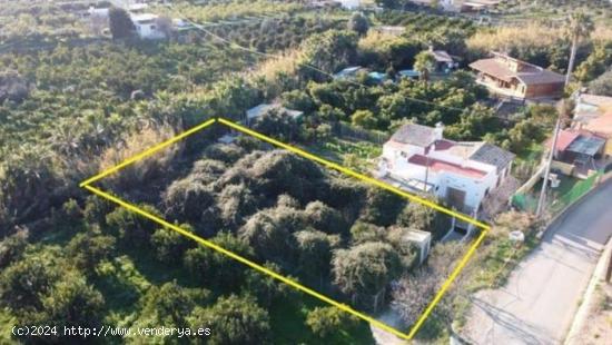 Se vende precioso terreno de naranjos - ALICANTE