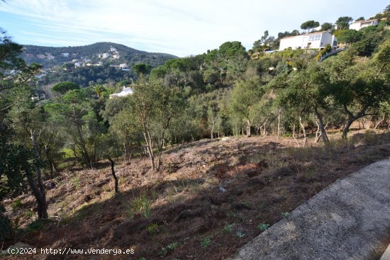 Suelo urbano en venta  en Calonge - Girona