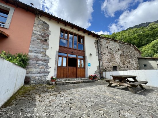 Casa de pueblo en Venta en Caunedo (Somiedo) Asturias