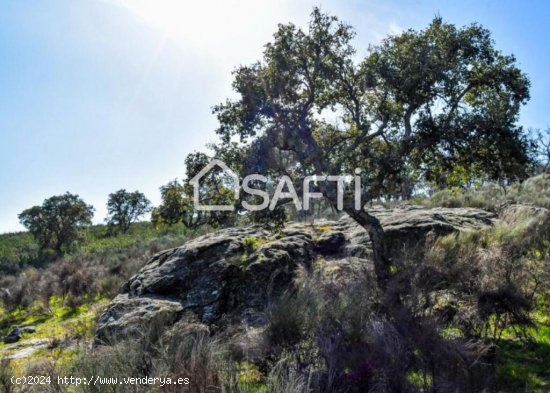 Finca rústica de 55.878m2 catastrales con vistas espectaculares