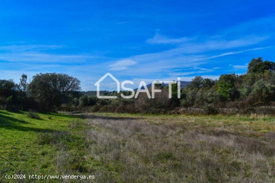 Finca de 19.500m2 con agua abundante en la Sierra de Gata