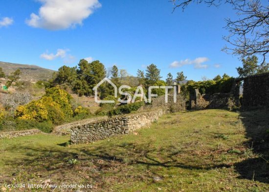 Se vende antiguo molino de aceite para su conversión en alojamiento turístico.