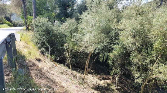 TERRENO 405M2 EN COLLSEROLA, A 2KM DE LA ESTACION DE LA FLORESTA.