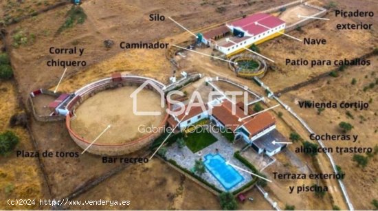  Venta de finca con gran vivienda y Plaza de toros, Badajoz (Extremadura) 