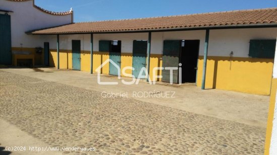 Venta de finca con gran vivienda y Plaza de toros, Badajoz (Extremadura)