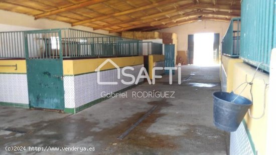 Venta de finca con gran vivienda y Plaza de toros, Badajoz (Extremadura)