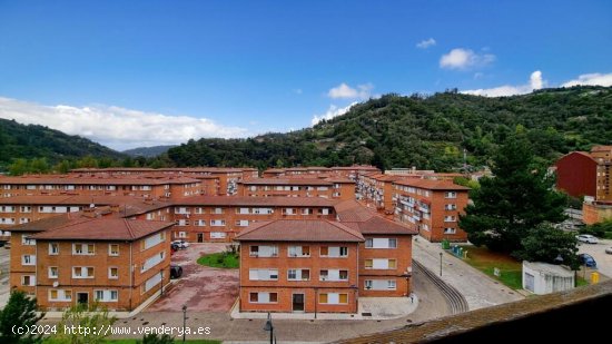 Vistas Serenas: Tu Estudio en Pleno Corazón Natural de Asturias