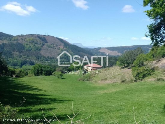 Se vende caserío con terreno agrícola y pinar en Baranbio