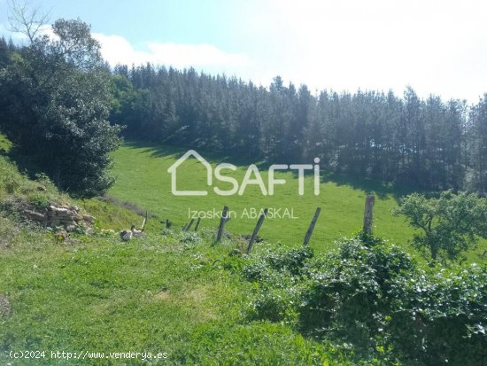 Se vende caserío con terreno agrícola y pinar en Baranbio