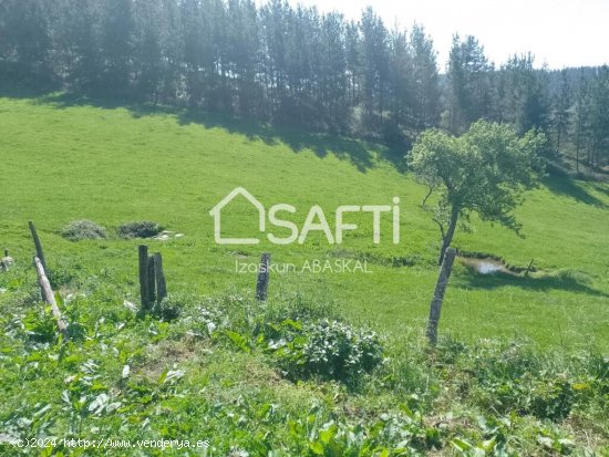 Se vende caserío con terreno agrícola y pinar en Baranbio