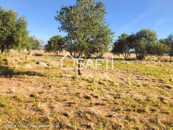 ¿Buscando un terreno? Pues mira este bonito terreno que hoy te traigo ubicado en la zona del pueblo