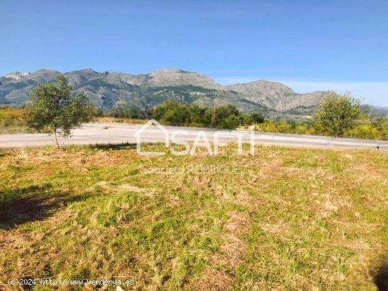 ¿Buscando un terreno? Pues mira este bonito terreno que hoy te traigo ubicado en la zona del pueblo