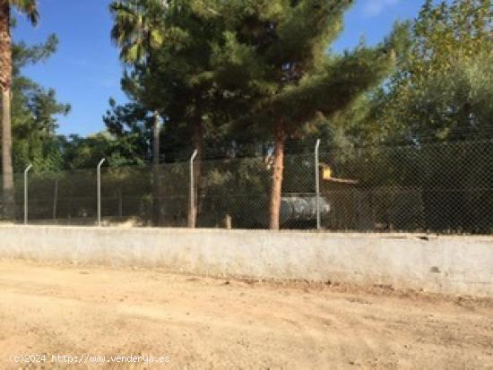 SE VENDE PARCELA DE 2000 M2 CON CASA EN LIBRILLA - MURCIA