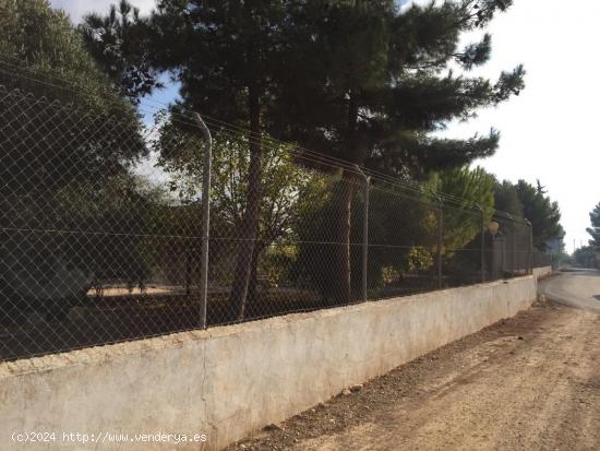 SE VENDE PARCELA DE 2000 M2 CON CASA EN LIBRILLA - MURCIA