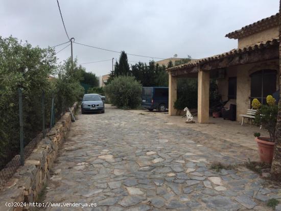 PARCELA CON DOS CASAS PARA REFORMAR, JUNTO COLEGIO DE EN LA HOYA - MURCIA