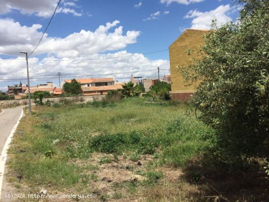 PARCELA DE 500 M2 PARA CASA DE APEROS DE 40 M2 MAXIMO - MURCIA