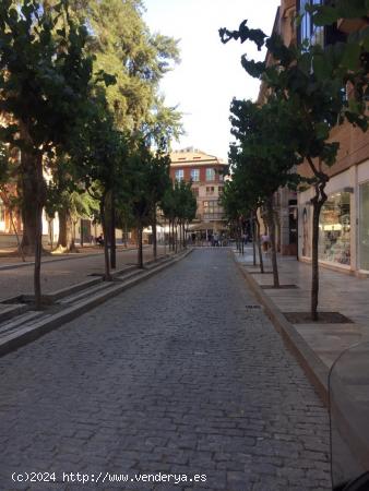 SE ALQUILA LOCAL EN ZONA PLAZA ROMEA - MURCIA