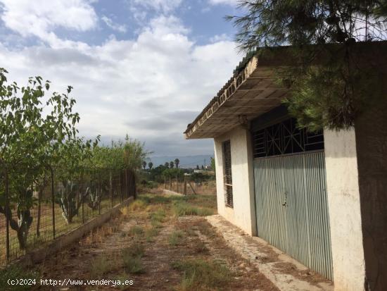 SE VENDE PARCELA EDIFICABLE EN LA ÑORA, CERCA DE LA UCAM. - MURCIA