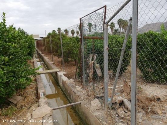 SE VENDE PARCELA URBANA EN RINCON DEL GALLEGO. - MURCIA