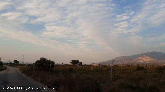 PARCELA RÚSTICA CON EDIFICACIÓN EN ALHAMA DE MURCIA. - MURCIA