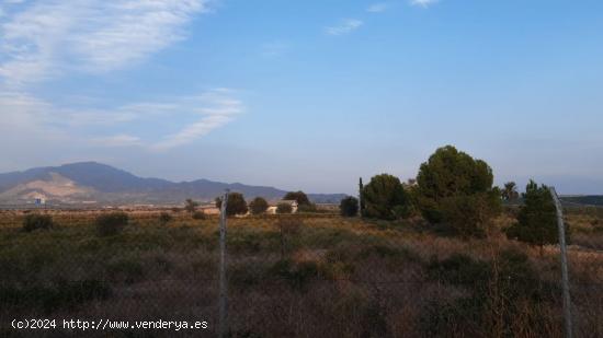 PARCELA RÚSTICA CON EDIFICACIÓN EN ALHAMA DE MURCIA. - MURCIA