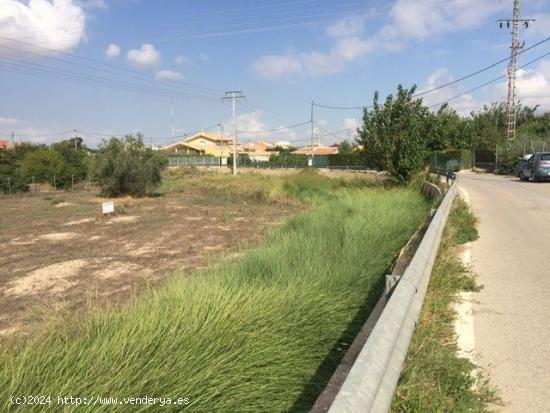 PARCELA RUSTICA EN LA ALBOREJA - MURCIA