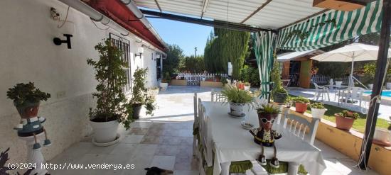 FINCA RÚSTICA CON CASA Y PISCINA EN SANGONERA LA SECA. - MURCIA