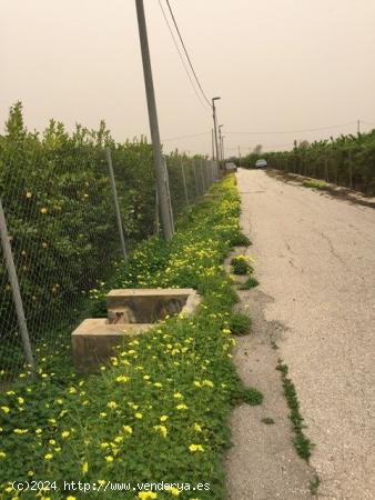 PARCELA EN LLANO DE BRUJAS - MURCIA