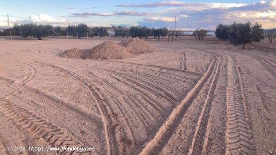 PARCELA EN EL CONDADO DE ALHAMA - MURCIA