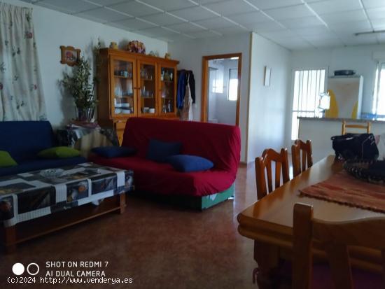 MAGNÍFICA CASA CON TERRENO EN EL PINO, MOLINA DE SEGURA. - MURCIA